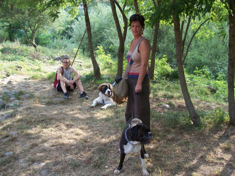  Image name: Calcio46.jpg 
 width: 800 pixel 
 height: 601 pixel 
 Size: 561825 bytes 
 Click to enlarge 